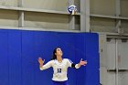 Volleyball vs Babson  Wheaton Women's Volleyball vs Babson College. - Photo by Keith Nordstrom : Wheaton, Volleyball, VB